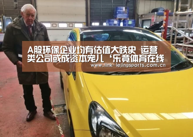 A股环保企业均有估值大跌史 运营类公司或成资本宠儿‘乐竟体育在线’(图1) 乐竟体育在线