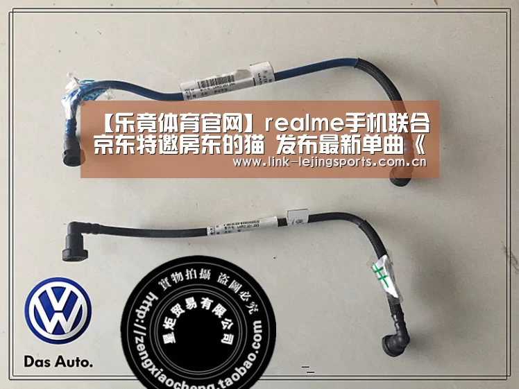 【乐竟体育官网】realme手机联合京东特邀房东的猫 发布最新单曲《real me》(图3) 乐竟体育登录