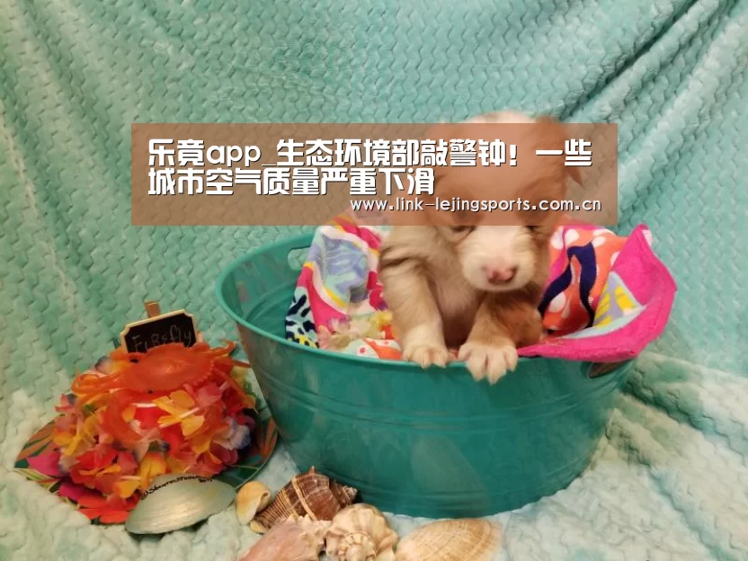 乐竟app