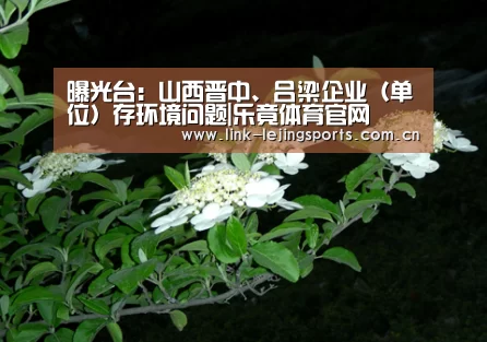 曝光台:山西晋中、吕梁企业(单位)存环境问题|乐竟体育官网(图3) 乐竟体育官网